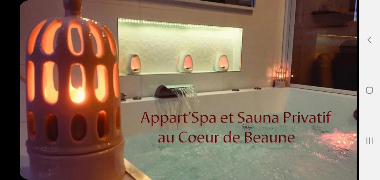 Appart' Spa Et Sauna Privatif Au Coeur De Beaune Экстерьер фото