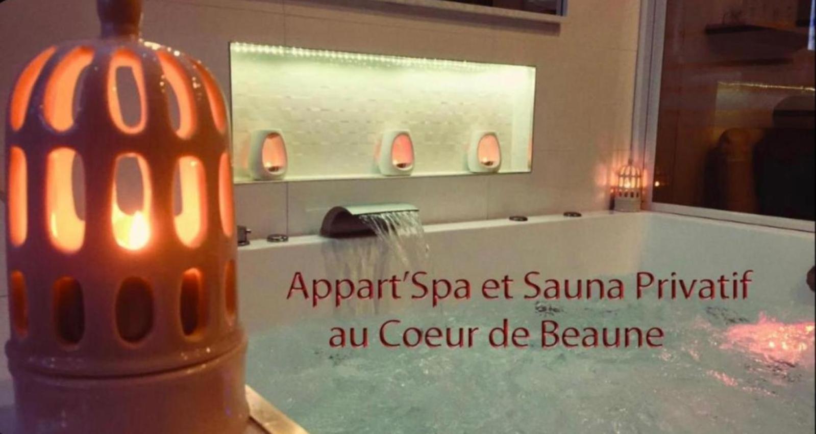 Appart' Spa Et Sauna Privatif Au Coeur De Beaune Экстерьер фото