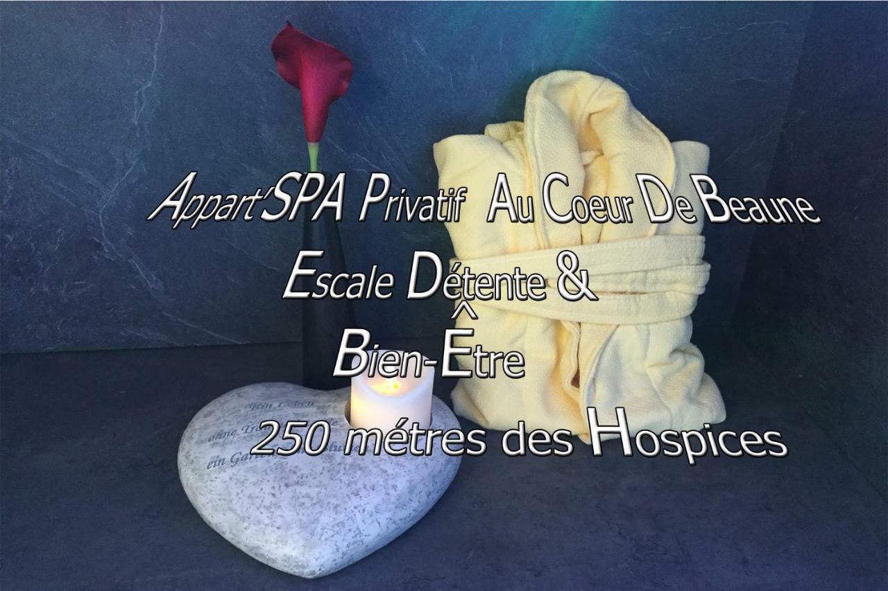 Appart' Spa Et Sauna Privatif Au Coeur De Beaune Экстерьер фото