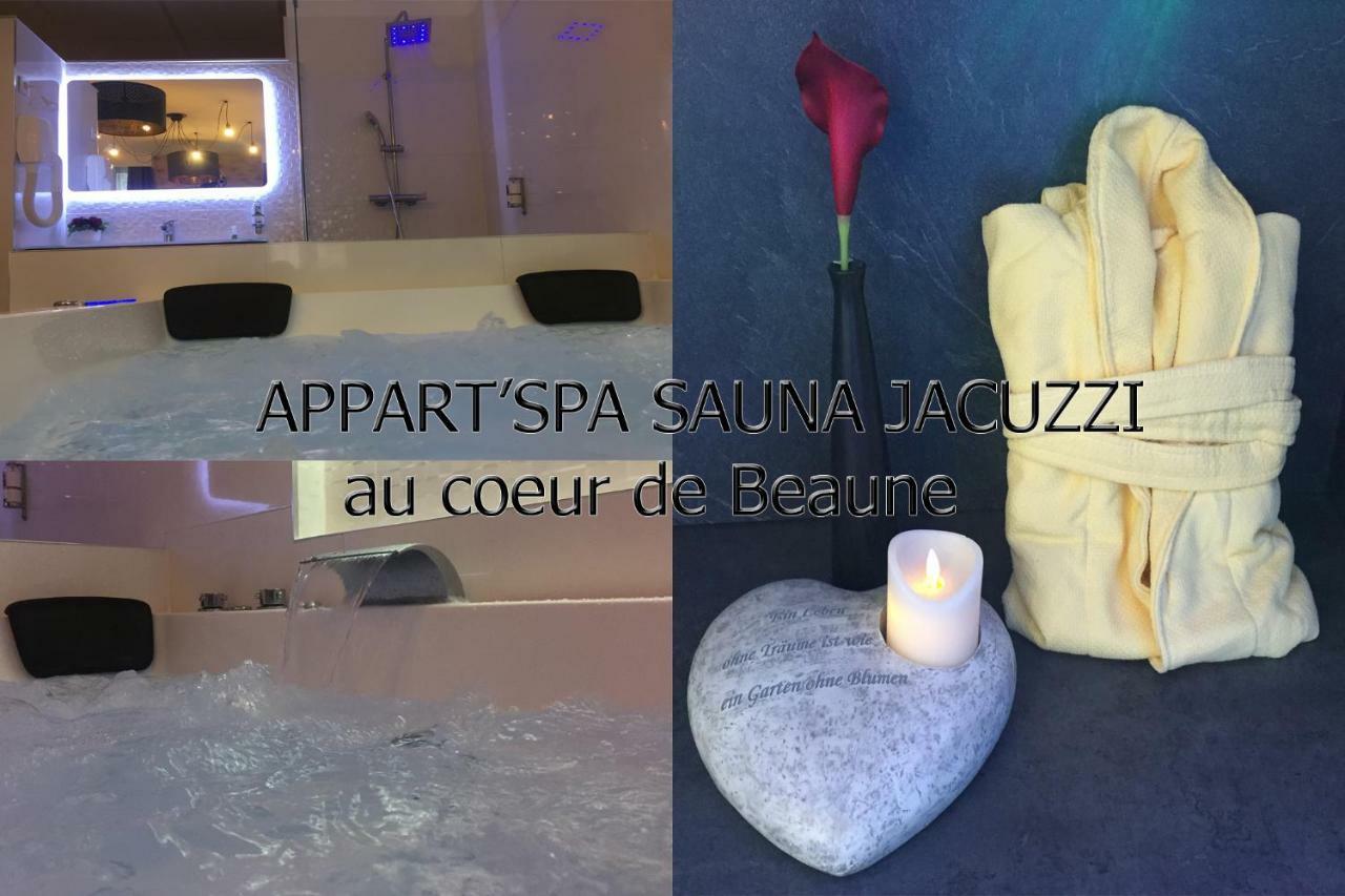 Appart' Spa Et Sauna Privatif Au Coeur De Beaune Экстерьер фото